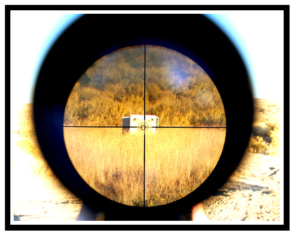 Businesses in the Crosshair